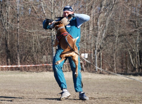 Training in Estonia 30.3 - 1.4. 2007